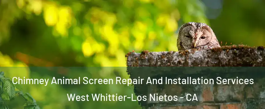  Chimney Animal Screen Repair And Installation Services West Whittier-Los Nietos - CA