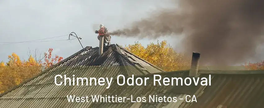  Chimney Odor Removal West Whittier-Los Nietos - CA