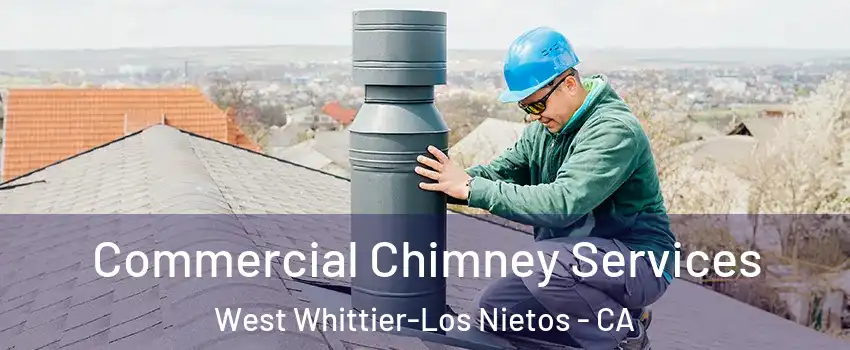  Commercial Chimney Services West Whittier-Los Nietos - CA