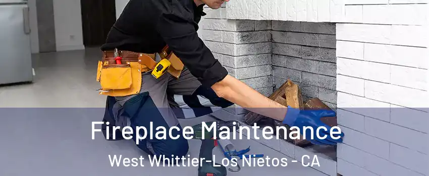  Fireplace Maintenance West Whittier-Los Nietos - CA