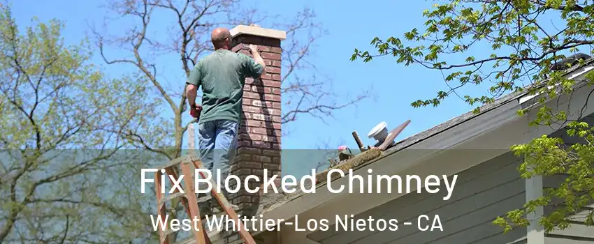  Fix Blocked Chimney West Whittier-Los Nietos - CA