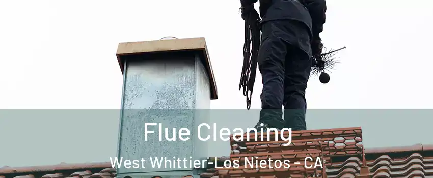  Flue Cleaning West Whittier-Los Nietos - CA