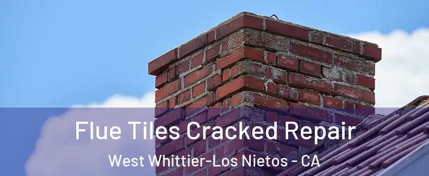  Flue Tiles Cracked Repair West Whittier-Los Nietos - CA