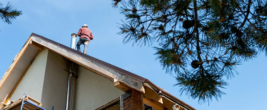 Birds Removal Contractors from Chimney in West Whittier-Los Nietos, CA